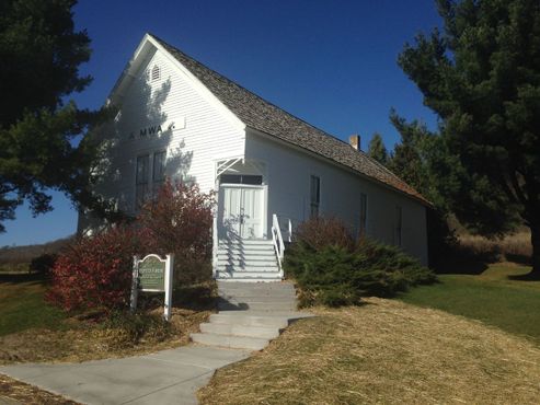 Нарисованный лес