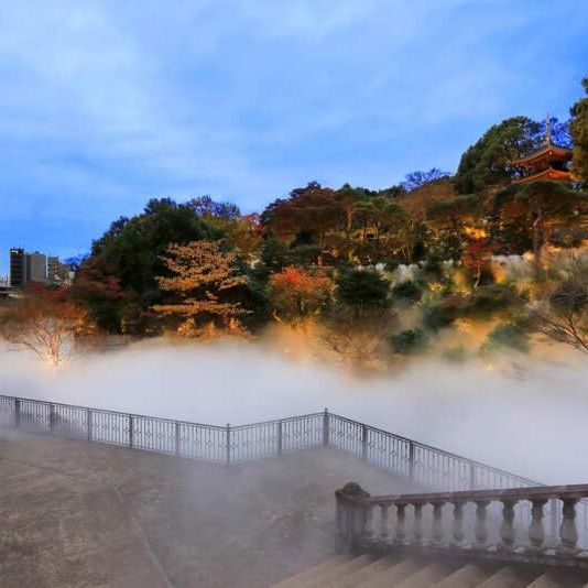 Отели 4*, Бутик-отели, Отели 5*