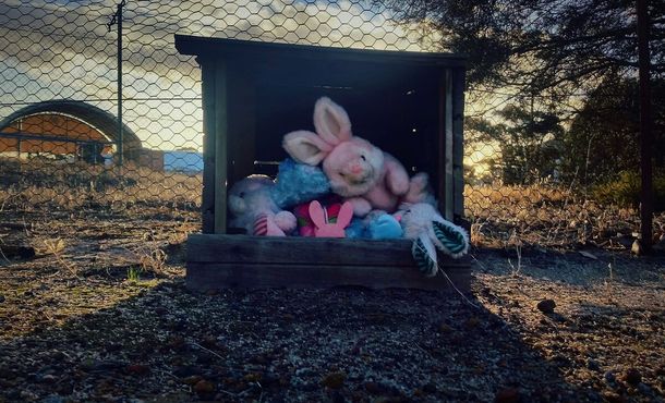 Кладбище кроликов