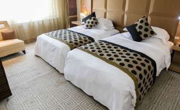 Гостиницы 5*