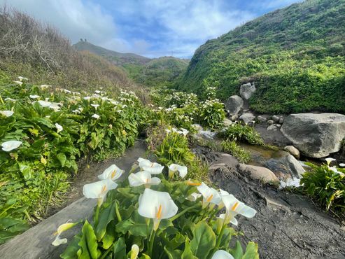 11 марта 2024 г.