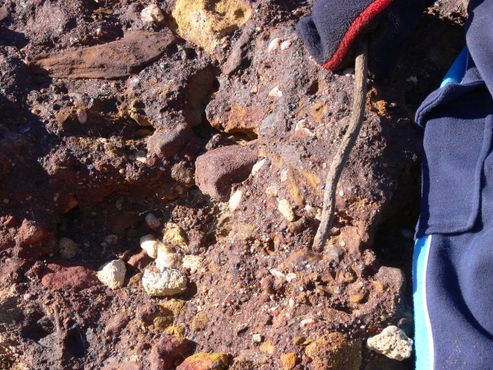 В Ривербенде можно увидеть естественно сохранившиеся морские окаменелости