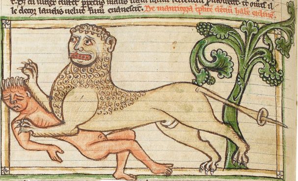 Средневековый бестиарий, изображающий льва, нападающего на человека