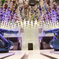 Quantum of the Seas (21/42)