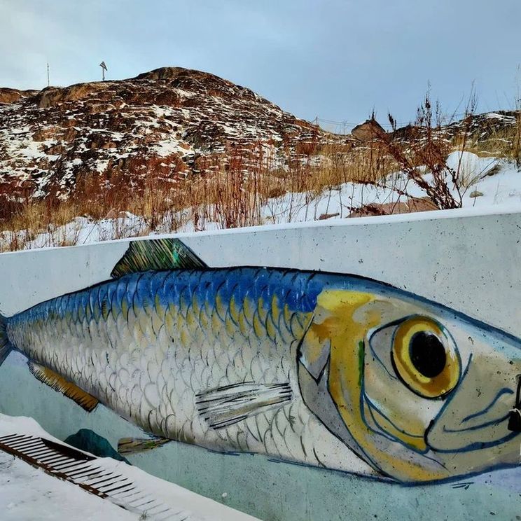 Отели 1-2*, Гостевые домики