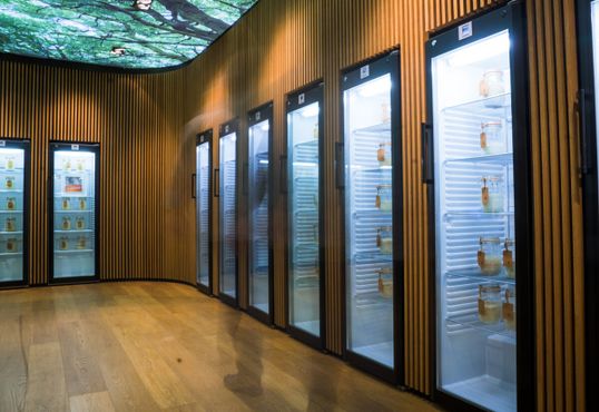 Библиотека заквасок