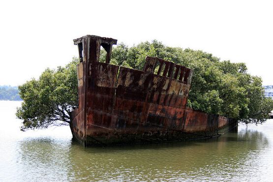 Заброшенный корабль SS Ayrfield