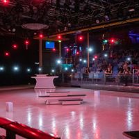 Navigator of the Seas (18/22)