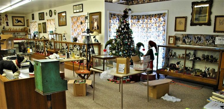 Музей бостон-терьеров