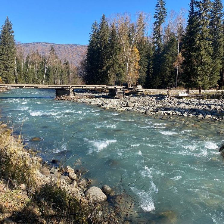 Гостевые домики