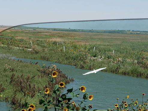 Шайеннская низина