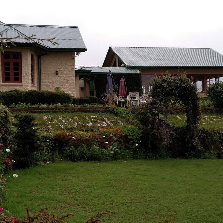 Отели 4*, Отели 5*