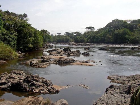 Река Эпулу протекает через заповедник Окапи