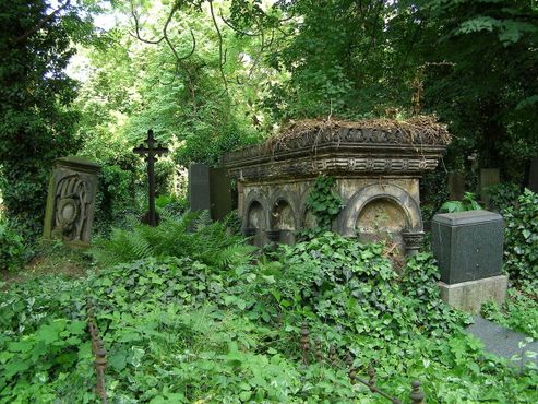 Старые заросшие могилы на Ольшанском кладбище