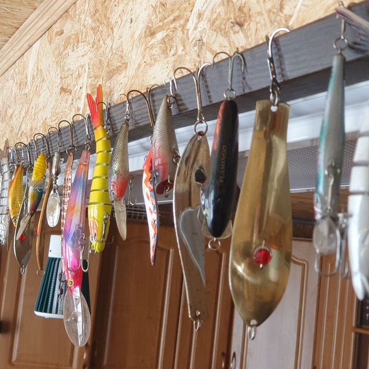 Кемпинги, Гостевые домики