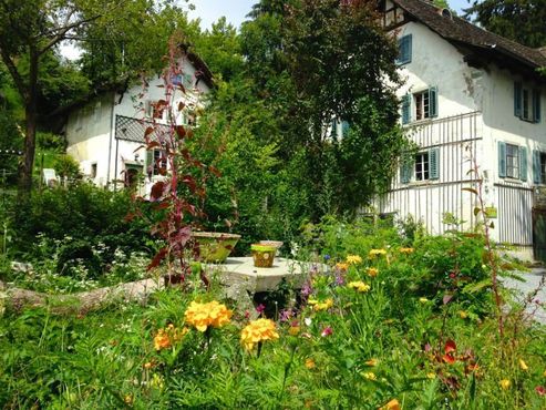 Деревня «Синергия»