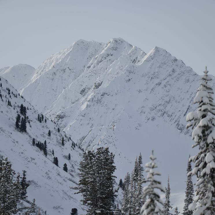 Хижины, Палатки