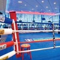 Freedom of the Seas (11/29)