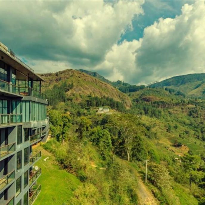 Отели 4*, Отели 5*