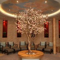 Oasis of the Seas (25/32)