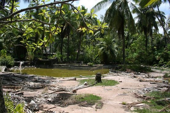 Отель «Коко-Палмс»