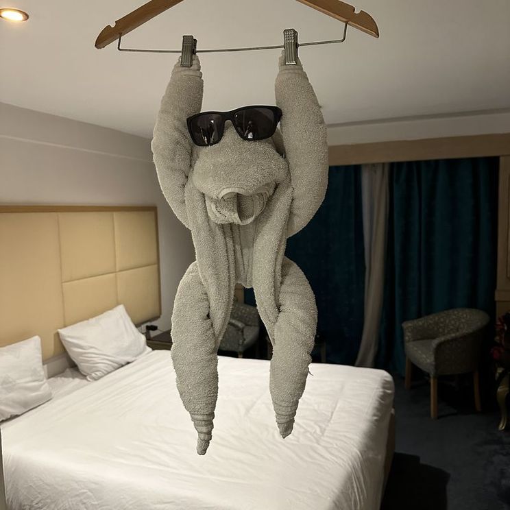 Отели 4*, Бутик-отели, Хаусботы, Палатки