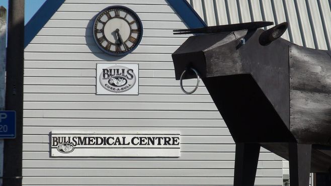 Статуя быка Cure-A-Bull Medical Center