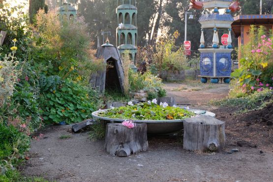 Общественный сад Большого Папочки