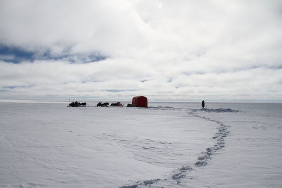 Исследователь неподалёку от станции роет в снегу шурф (Гренландия)