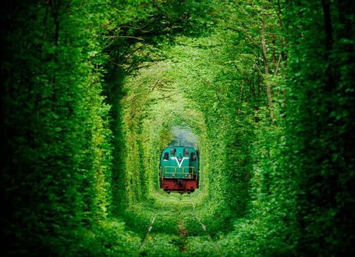 Поезд, проходящий через тоннель летом