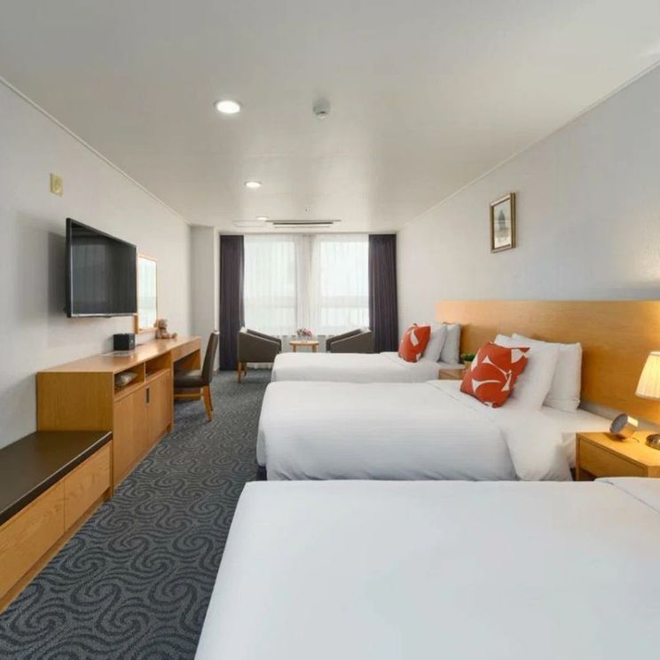 Гостевые домики, Отели 3*, Отели 4*, Апартаменты