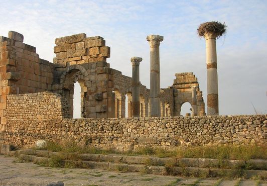 Аисты на древних колоннах