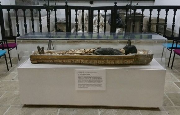 Мумия Та-Куш