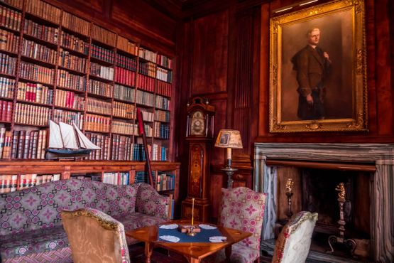 Замок Данробин