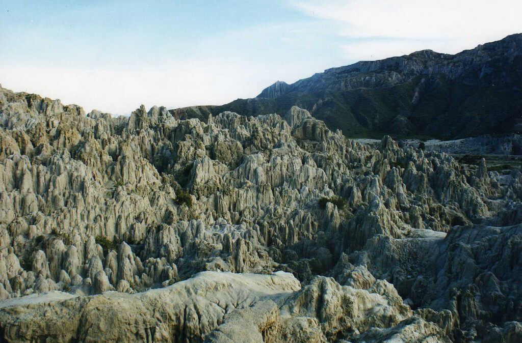 Пилея лунная долина фото