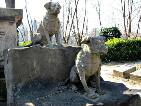 Кладбище собак