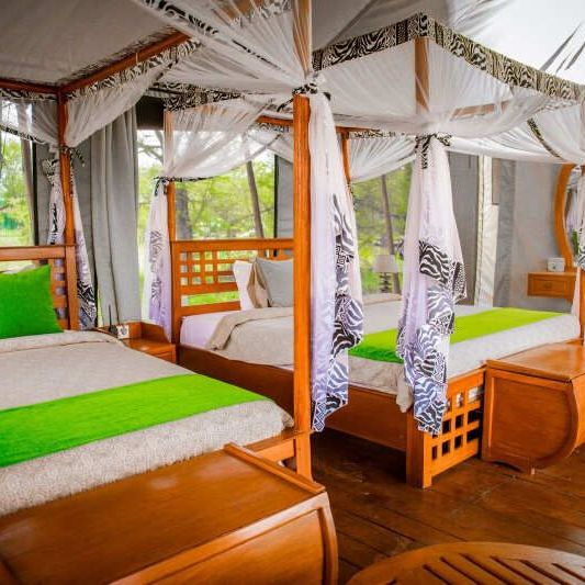 Домик, палатки