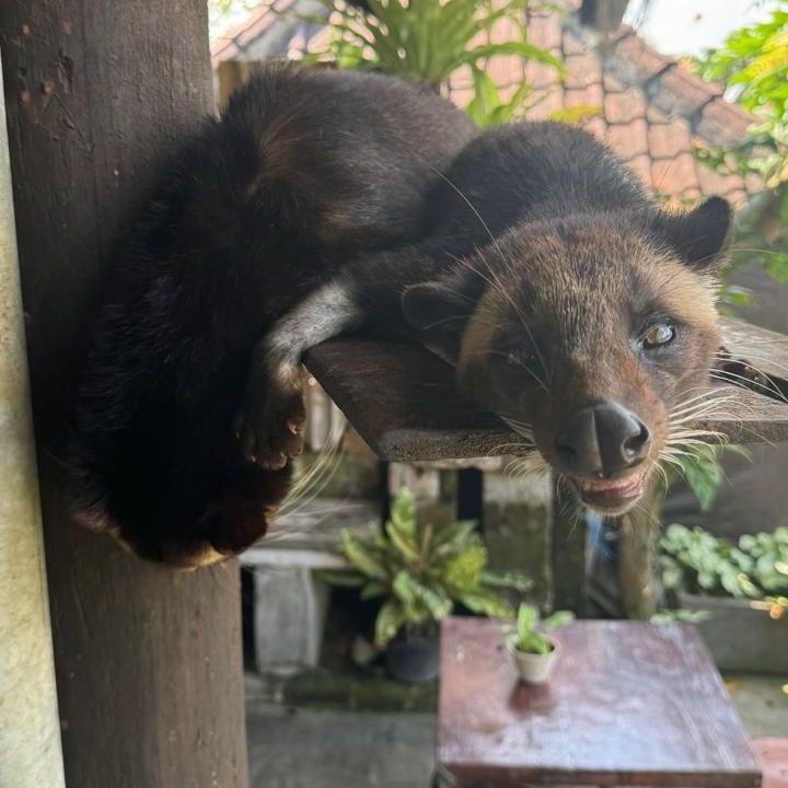 Отели 3*, Отели 4*, Отели 5*