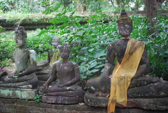Статуи будды на территории