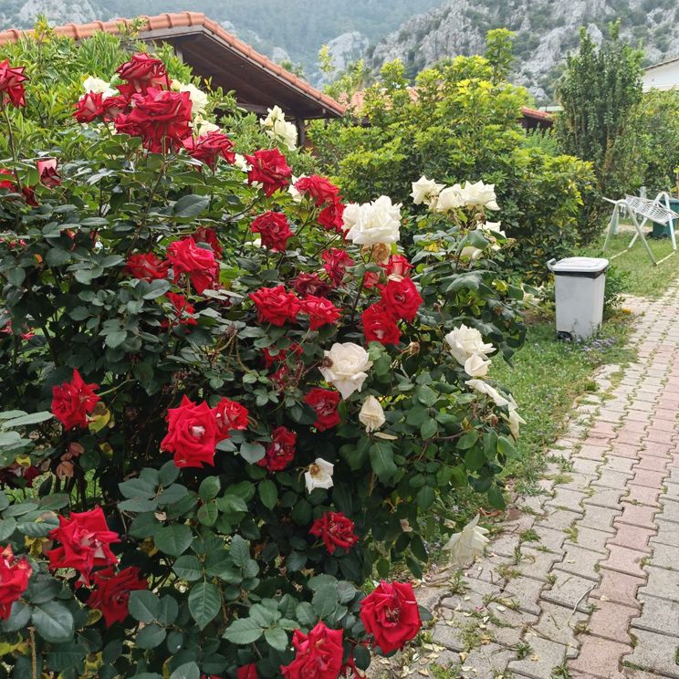 Гостевые домики, Бунгало