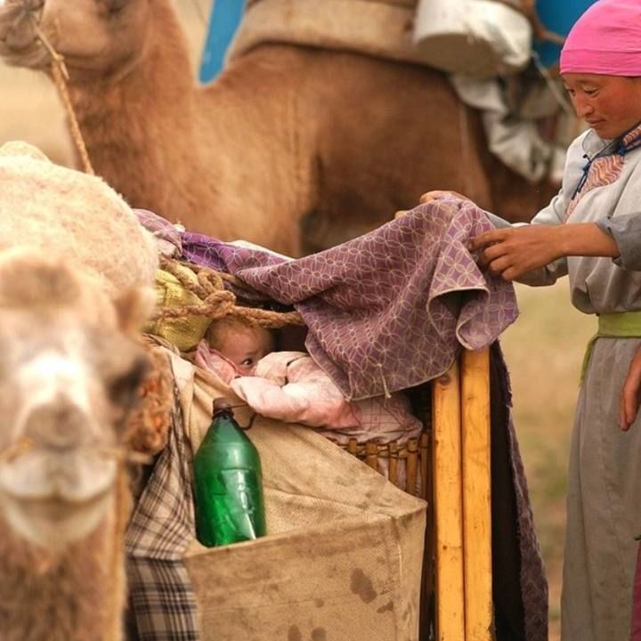Кемпинги, Отели 3*, Юрты, Палатки