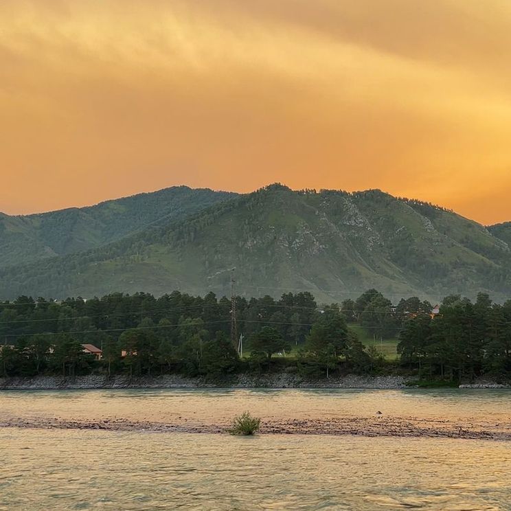 Гостевые домики