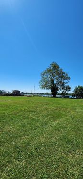 На этой лужайке стояли палатки, когда карантинная станция была переполнена