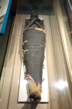 Другая мумия в музее