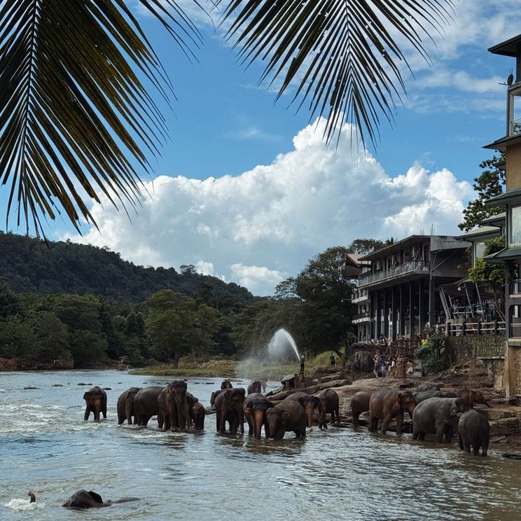 Отели 3*, Отели 4*, Отели 5*