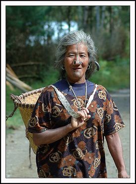Женщина племени Апатани несёт традиционную корзину