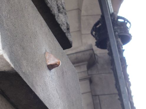 Нос на Арке Адмиралтейства