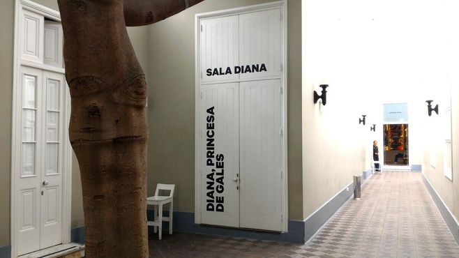Дверь, ведущая в Комнату Дианы (Sala Diana)
