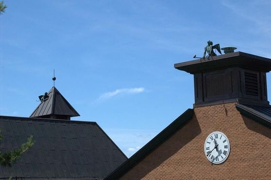 Летучие обезьяны