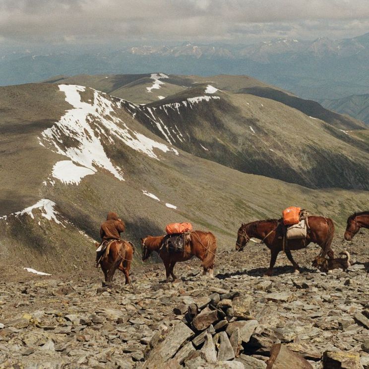Палатки